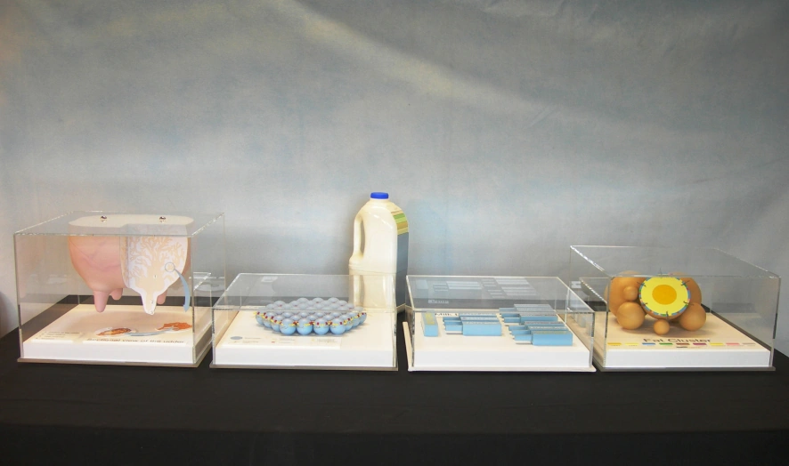 Food Training Models